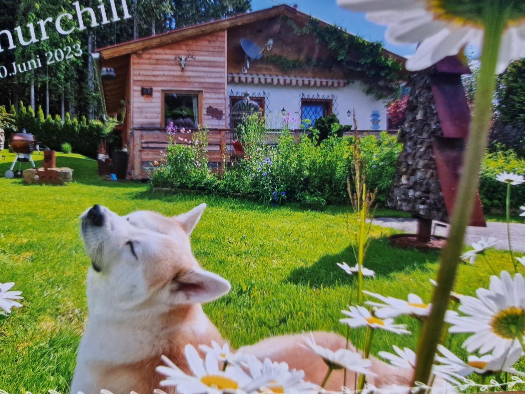 Knusperhaeuschen Maria Nikoletta Witra Exterior foto
